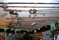 /album/predajna/dsc-4060-800x600-jpg/